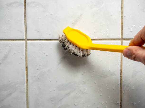 Best Home Mold Removal  in Cedar Point, NC